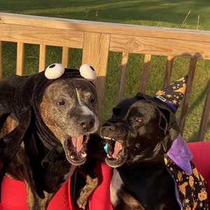 Rick, Mary Ann and Miriha May-Furedi Family Page